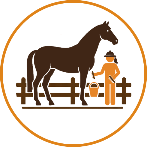 Horse Caretaker & Equine Handler